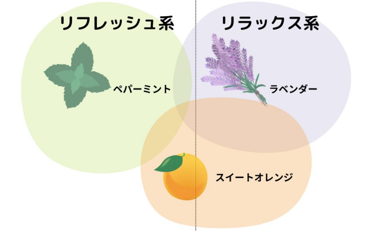 初心者向けのエッセンシャルオイルの図