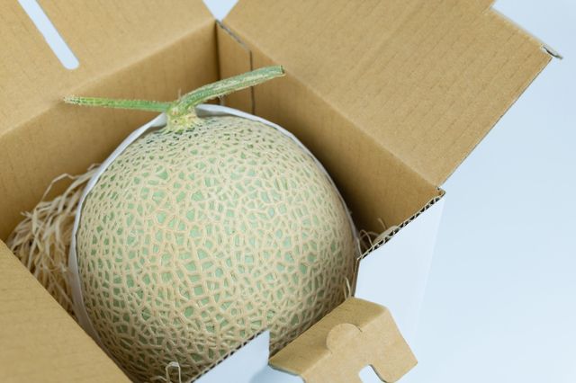 箱入りメロン