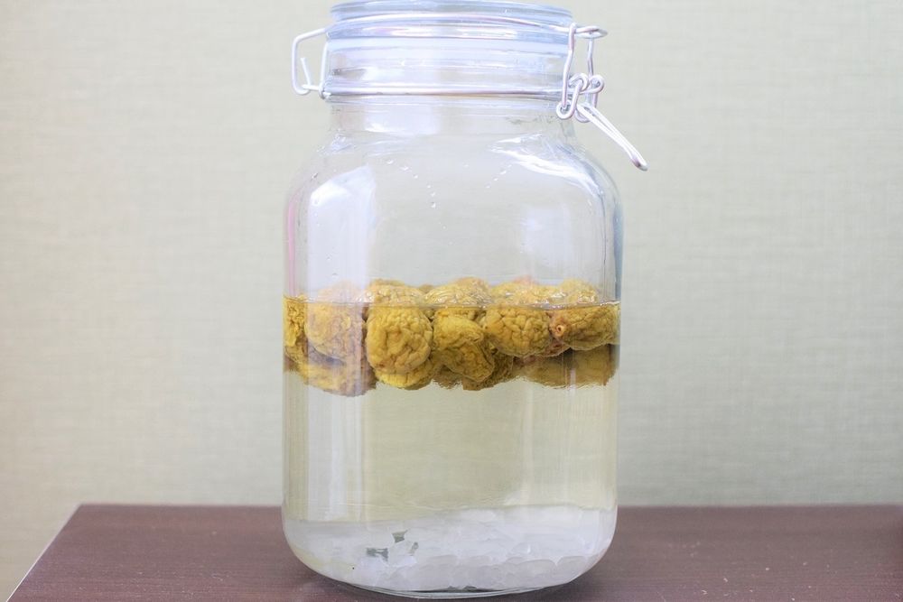漬けて10~14日目になり、梅の表面に皺が寄りシロップに色がついた様子