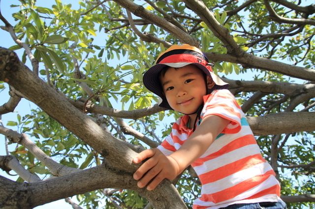 木登りする子ども